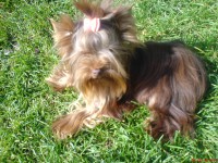 /album/orion1/dsc03585-jpg1/