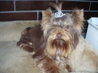 /album/orion1/p1040060-jpg1/