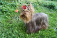 /album/orion1/a418738-2302324253169-1378375668-n-jpg/