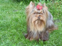 /album/orion1/a406268-2302335973462-934643449-n-jpg/